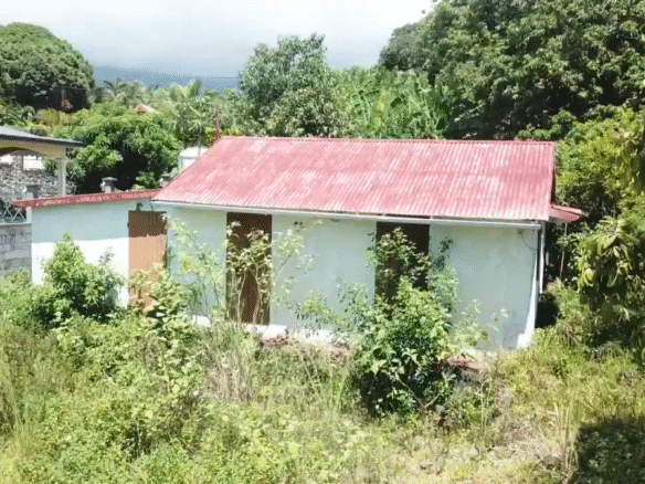 Terrain loti à vendre sur le secteur des Orangers à Saint-Benoît