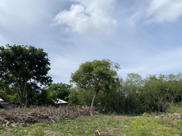 Terrain à vendre sur Bois D’Olives à Saint-Pierre (Lot 2)