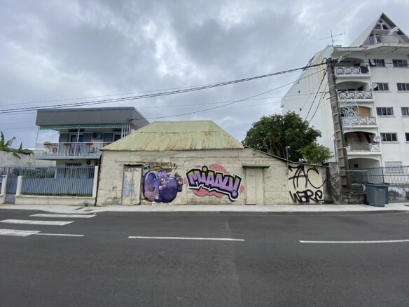 Terrain loti à vendre – Bas de la Rivière, Saint-Denis