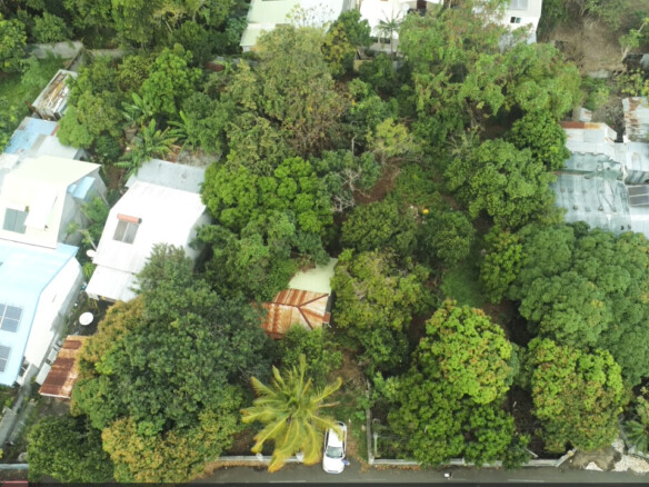 Terrain à vendre sur Saint-Pierre – Secteur la Ravine des Cabris