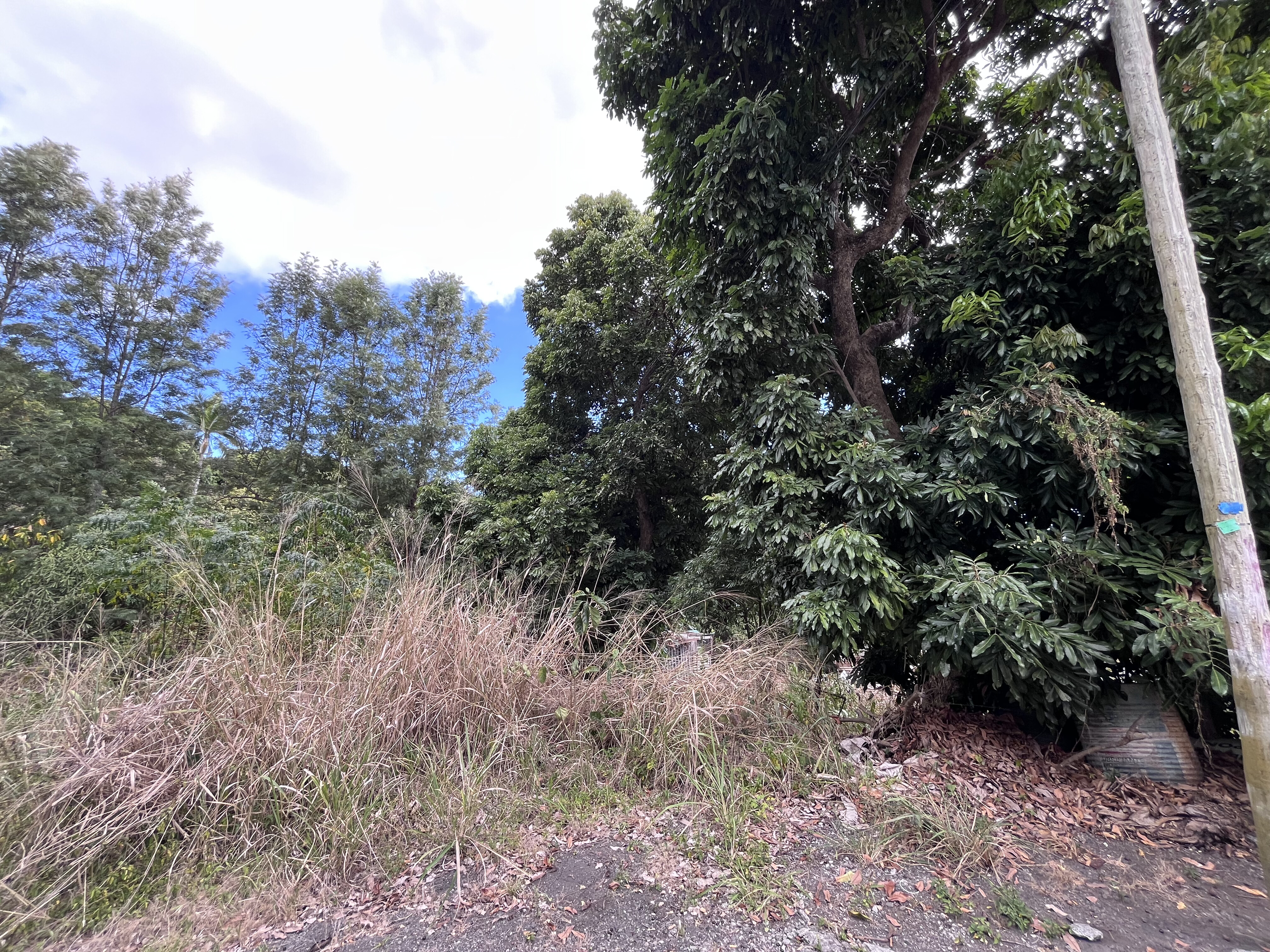 Terrain bâti à vendre sur Saint-Paul – Secteur du Bernica
