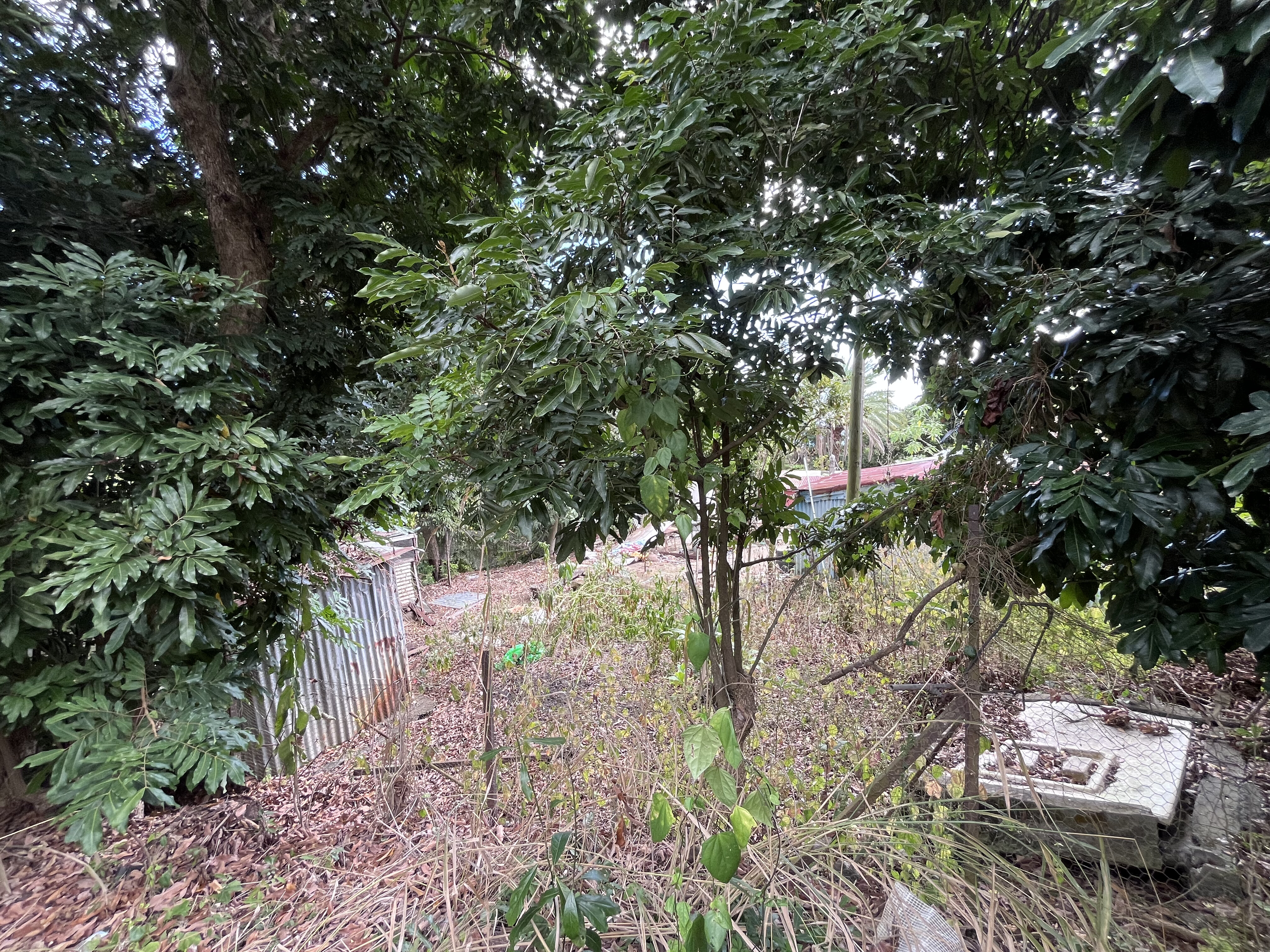 Terrain bâti à vendre sur Saint-Paul – Secteur du Bernica