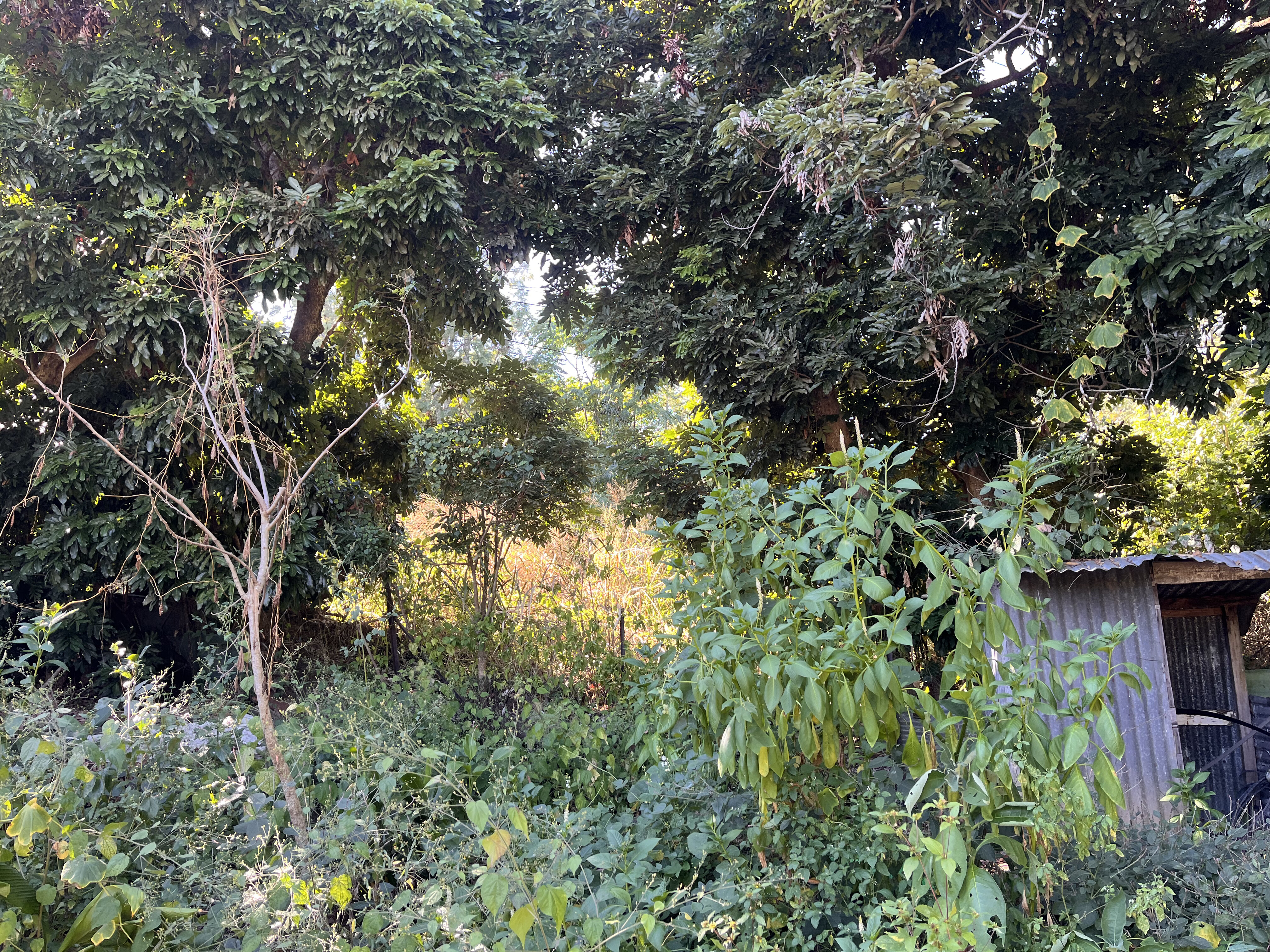 Terrain bâti à vendre sur Saint-Paul – Secteur du Bernica