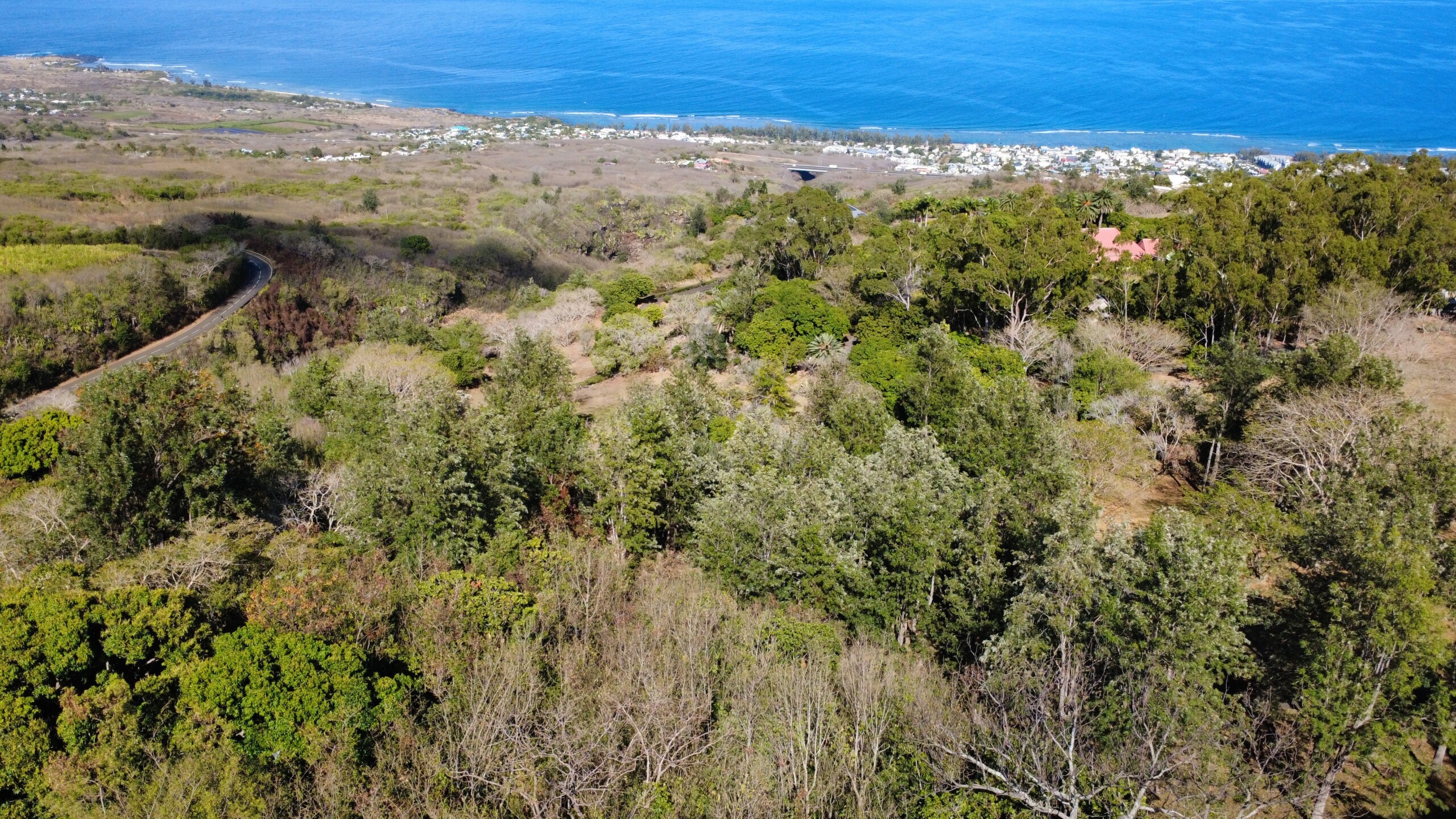 DCIM100MEDIADJI_0008.JPG Terrain bâti à vendre – Secteur de l’Etang Saint-Leu